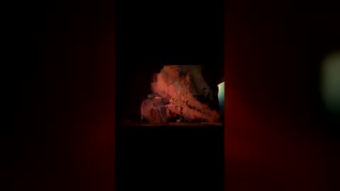 hoodiehoe online show from March 2026 06:41:02 AM