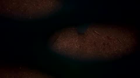 Snapshot of hopper_in_joyce chatting on March 2025 09:10:02 AM hopper_in_joyce online show from March 2025 09:10:02 AM