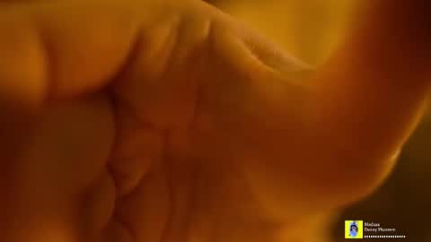 Snapshot of horneyjozy chatting on November 2025 06:52:02 PM Horney Jozy online show from November 2025 06:52:02 PM