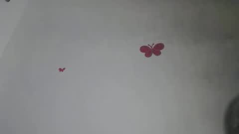 Iris online show from November 2025 07:57:02 PM