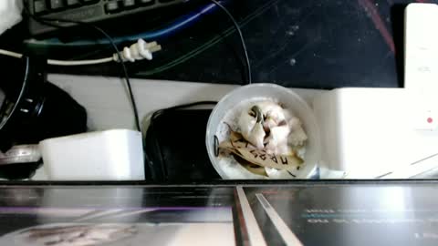 cum boy james online show from June 2026 05:33:02 PM