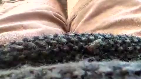 Tiny cock online show from January 2026 02:43:01 PM