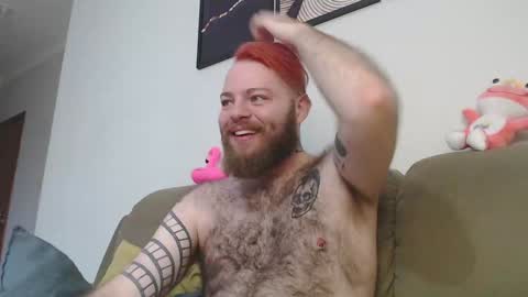 Harry online show from December 2024 08:50:01 PM