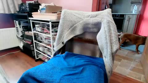 hornypenis127 online show from June 2026 09:14:01 AM