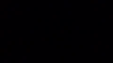 horsebrowm online show from January 2025 02:33:01 AM