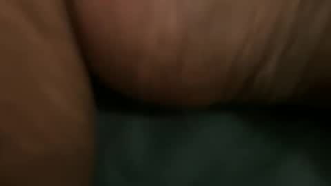 Bbc horsey online show from January 2026 01:21:02 AM