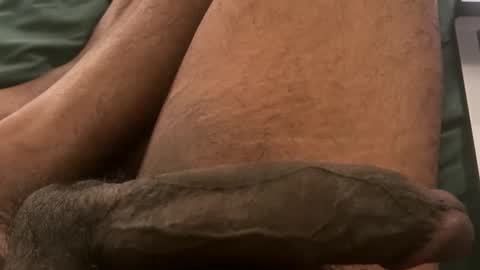 Bbc horsey online show from February 2026 12:31:01 AM