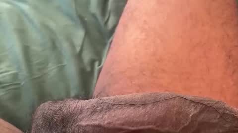 Bbc horsey online show from February 2026 08:58:01 PM