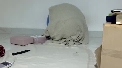 Sally silly wily online show from May 2026 06:55:01 AM