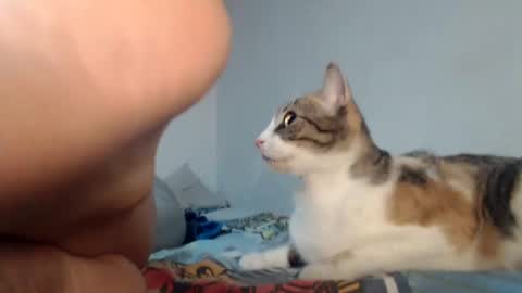 angels online show from January 2025 08:34:01 AM