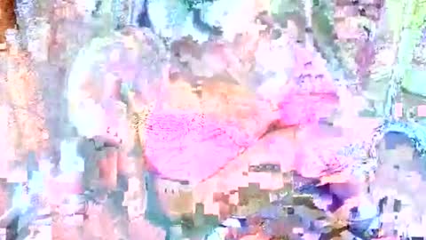 Snapshot of hot_baby_priya chatting on October 2025 04:50:01 PM hot_baby_priya online show from October 2025 04:50:01 PM