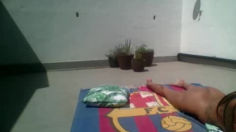 Hardcock20cm online show from October 2025 01:31:02 PM