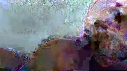 Snapshot of hotagrace chatting on February 2026 07:16:01 AM hotagrace online show from February 2026 07:16:01 AM