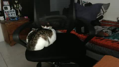 Hot and PowerHOPE U MISS ME online show from December 2024 01:04:02 AM