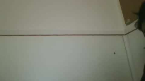 hotandwild2003 online show from February 2026 03:08:02 PM