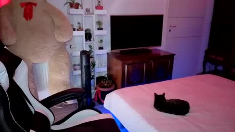 Hotboyshorny online show from July 2026 01:59:01 PM