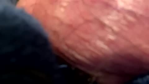 Snapshot of hotdog1124 chatting on January 2025 01:09:02 AM hotdog1124 online show from January 2025 01:09:02 AM