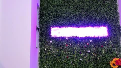 Snapshot of hotfallingdevil chatting on December 2025 07:15:02 AM hotfallingdevil online show from December 2025 07:15:02 AM