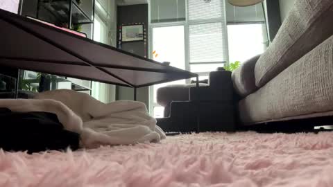 hotgirlbigbutt online show from May 2026 11:47:01 AM
