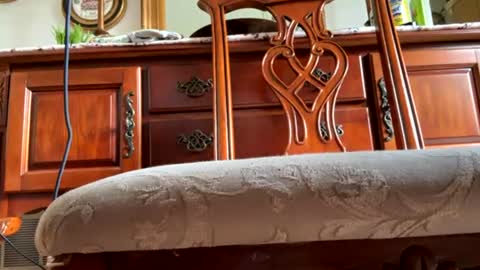 hotgirlbigbutt online show from July 2026 09:17:02 PM