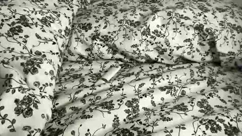 Annabelle online show from April 2026 10:01:02 PM