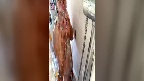 hotman7423 online show from July 2026 02:35:01 PM