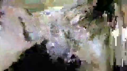 HotShavedCockSoCal online show from February 2026 07:07:02 AM