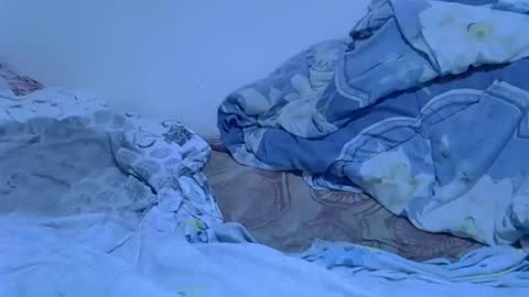 Sexy girl online show from March 2026 12:17:02 AM