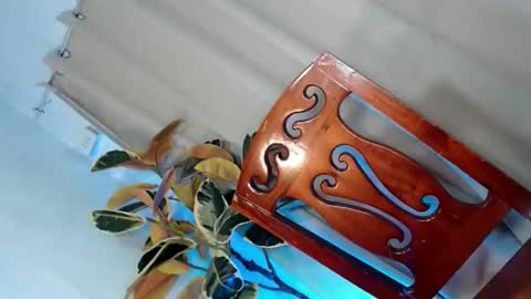 hotsiren101 online show from May 2026 08:22:01 AM