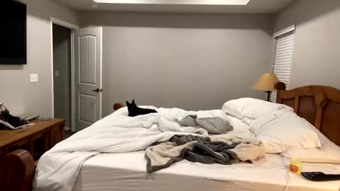 hottiewithabody101 online show from November 2025 06:30:01 PM