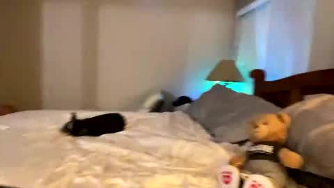 hottiewithabody101 online show from April 2026 11:53:01 PM