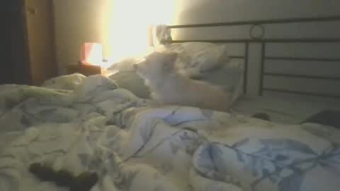 Hottnready4u online show from January 2025 01:26:01 PM