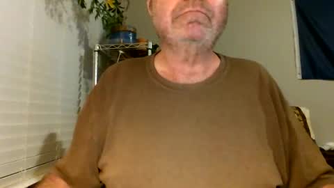 Hottop 1981 online show from April 2026 02:29:02 AM