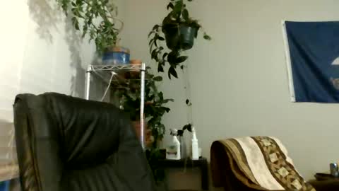 Hottop 1981 online show from July 2026 02:52:02 AM
