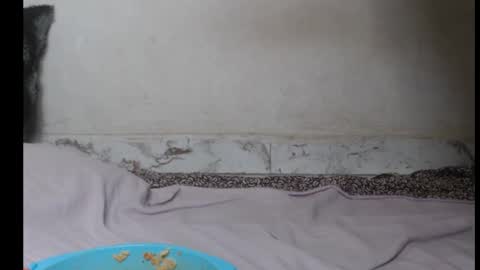 hottylissa1 online show from September 2025 08:35:02 PM