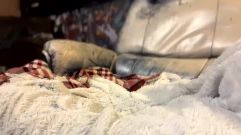 Snapshot of howbowdadareboy33 chatting on October 2025 03:06:02 AM ask me online show from October 2025 03:06:02 AM