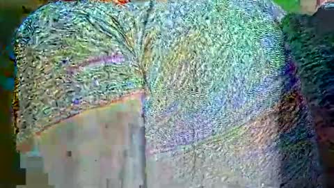 Snapshot of hp58649blabla chatting on September 2025 09:02:01 AM hp58649blabla online show from September 2025 09:02:01 AM