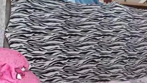 Snapshot of hugecockforyouxx chatting on October 2025 01:56:02 PM bella passwordshow 500tokens no time limit online show from October 2025 01:56:02 PM