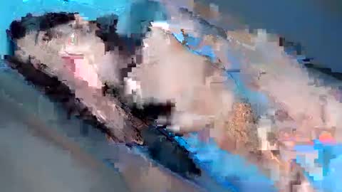 Yhanie online show from February 2025 01:08:02 PM