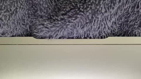 hugeshooter789 online show from June 2026 09:36:02 AM