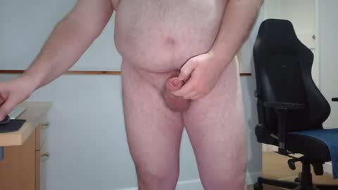 Huggie Bear online show from May 2026 09:25:01 AM