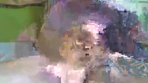 Snapshot of hugo_theboss_ chatting on February 2025 12:06:01 PM hugo_theboss_ online show from February 2025 12:06:01 PM