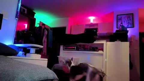 Hugo online show from February 2025 08:41:01 PM