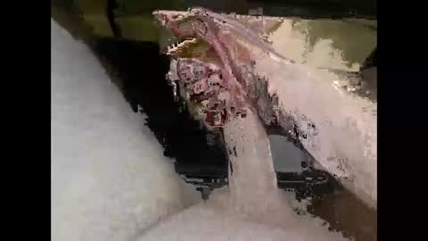 Snapshot of hung_mac0 chatting on April 2026 05:02:02 PM hung_mac0 online show from April 2026 05:02:02 PM