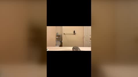 hungbwc99999 online show from January 2026 03:12:02 AM