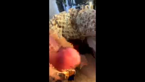 Snapshot of hungminer69 chatting on April 2026 01:43:02 AM hungminer69 online show from April 2026 01:43:02 AM