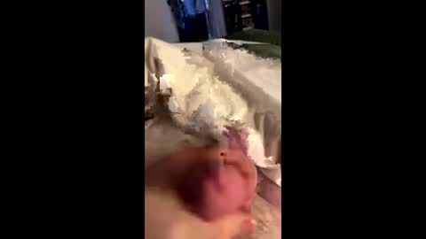 hungminer69 online show from May 2026 11:24:01 PM