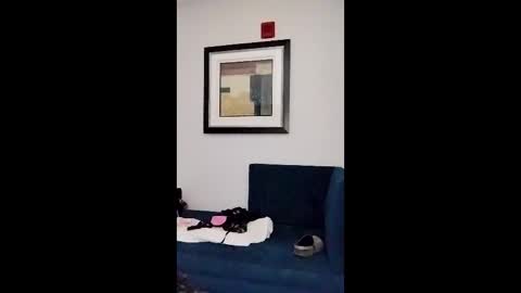 hydrakinglaser online show from February 2026 02:05:02 AM