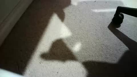 Hypeman online show from February 2026 06:00:02 AM