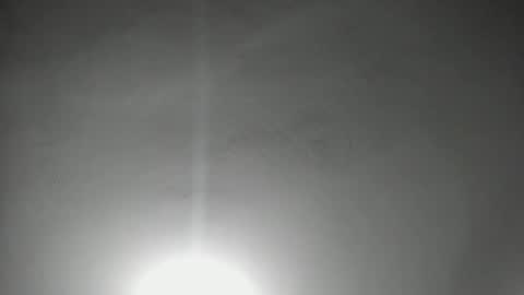 NAHO online show from March 2026 11:19:01 PM